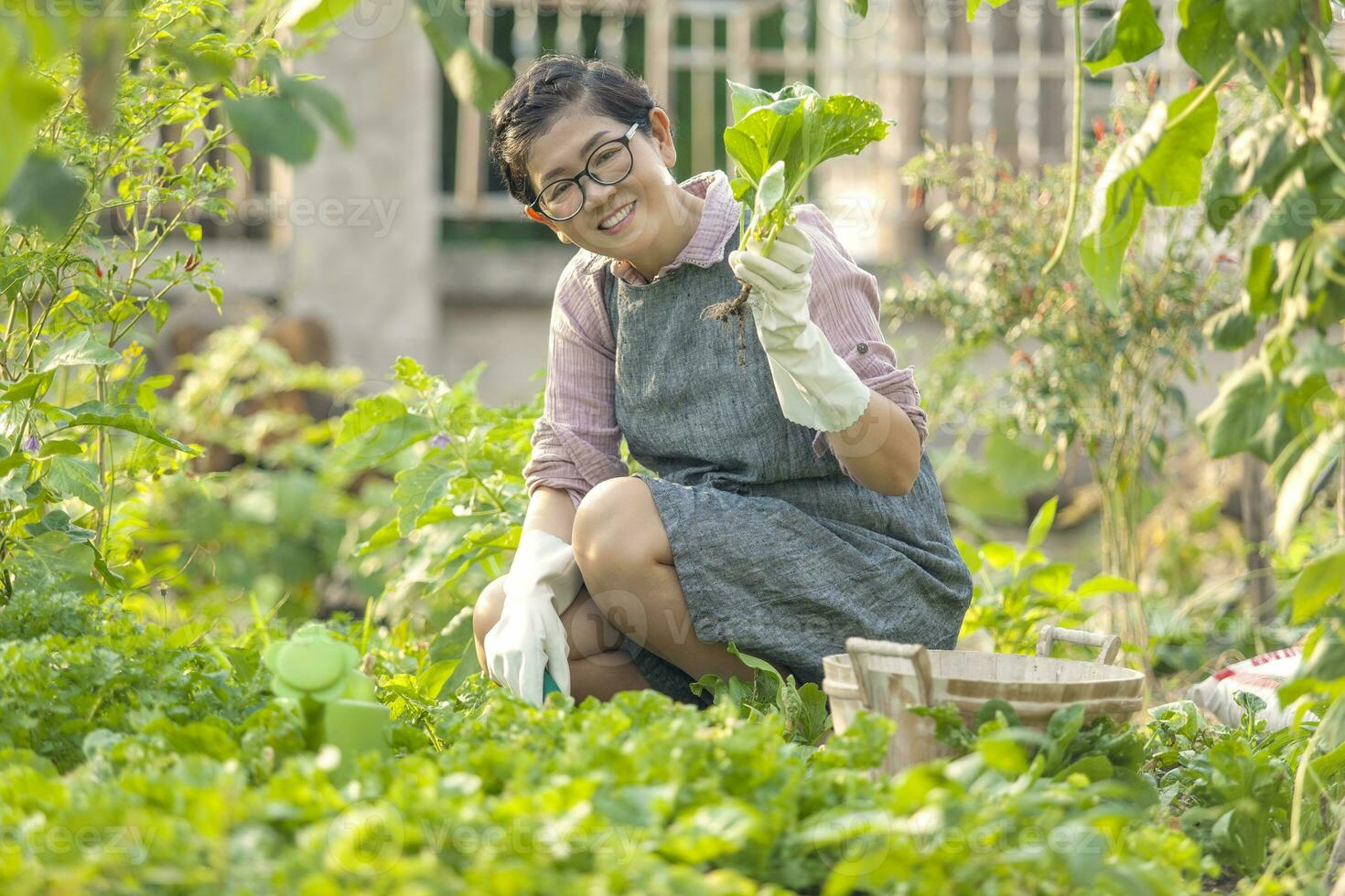 asiático mujer con dientes sonriente cara y cosecha orgánicos vetgetable en hogar jardín foto