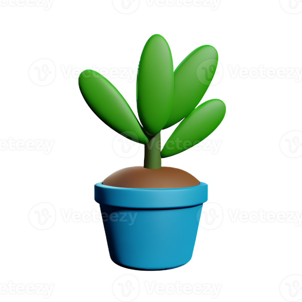 succulent 3d rendering icon illustration png