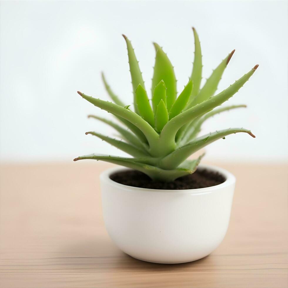 Cute Aloe Plant in a Pot With Background - AI Generated photo