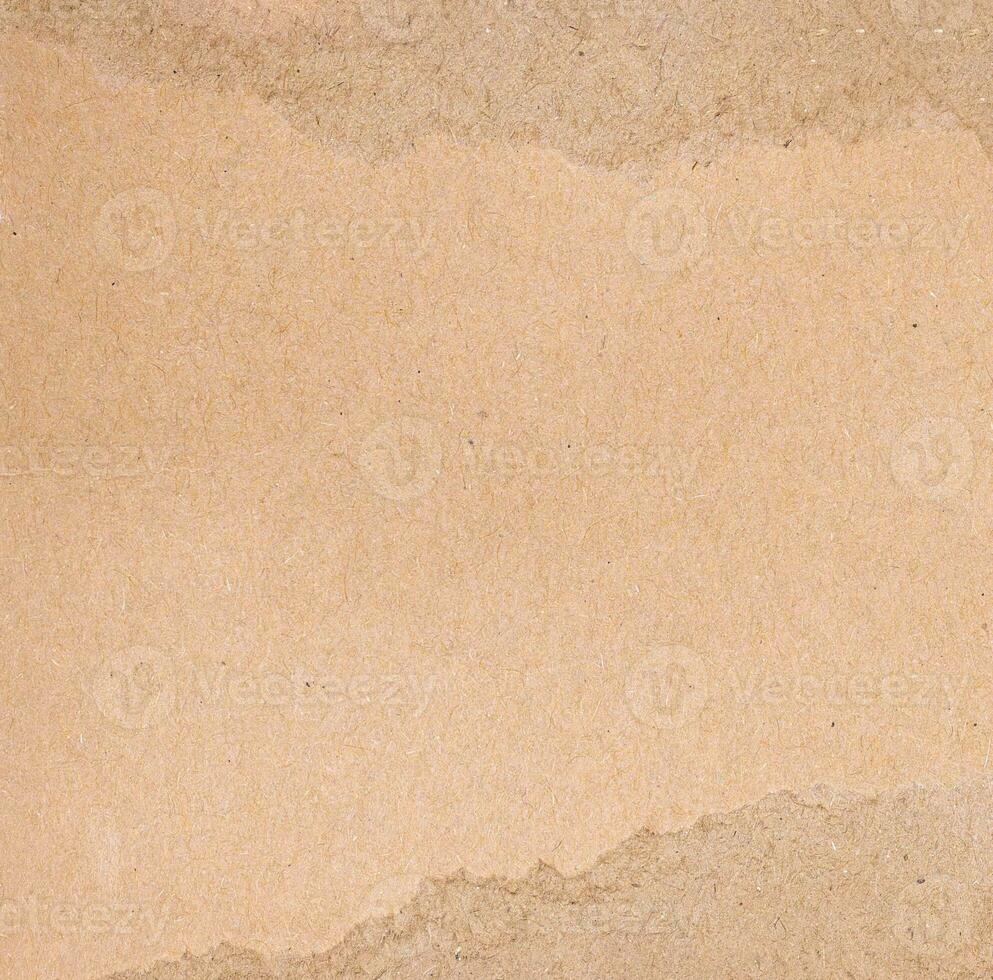 Torn piece of brown cardboard photo