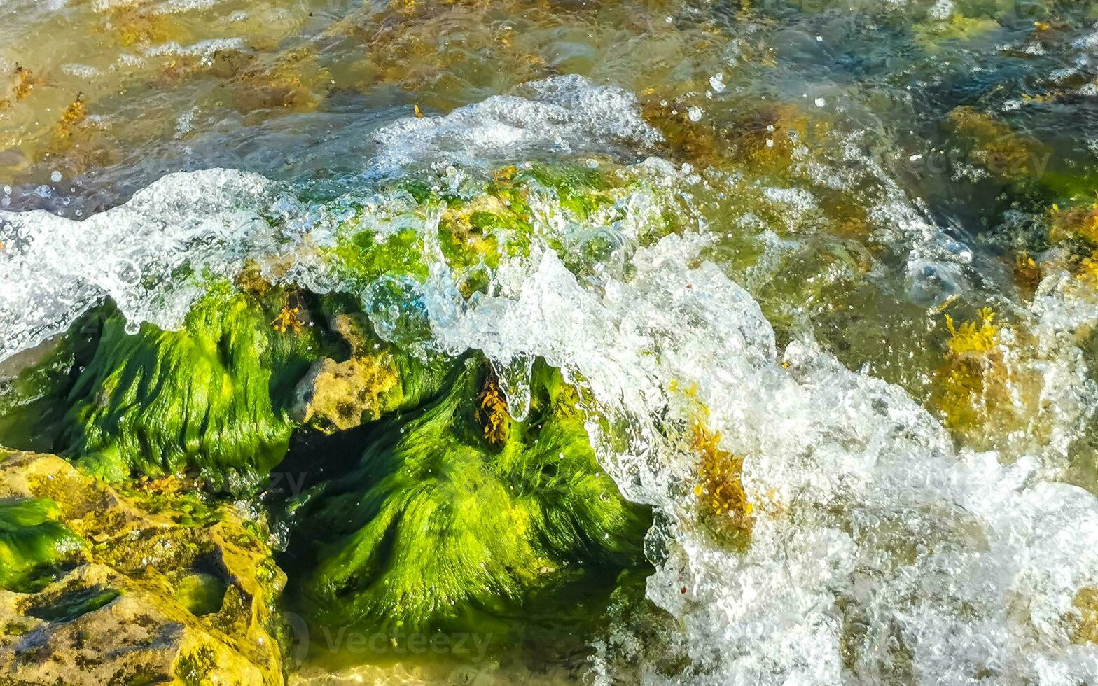 piedras rocas corales turquesa verde azul agua playa mexico. foto