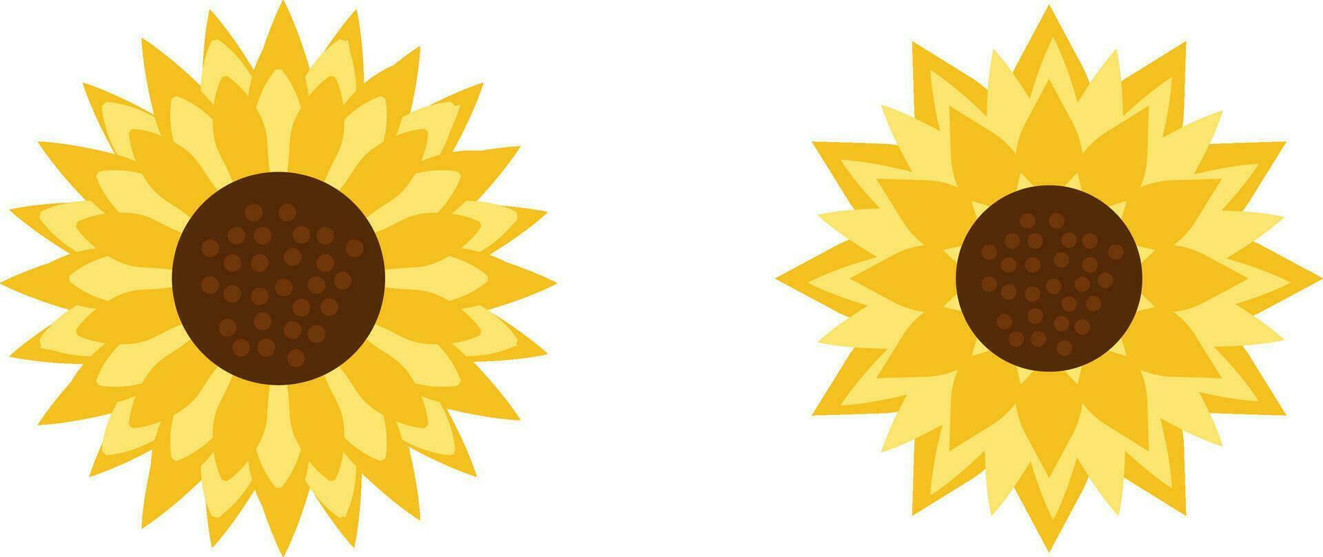 sun flower run vector