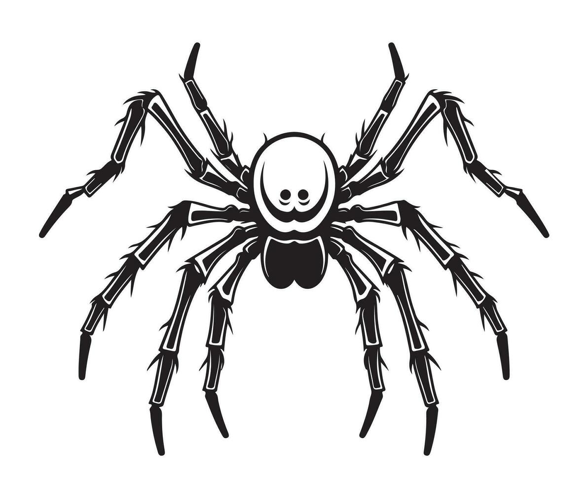 Spider insect sketch hand drawn Halloween Vector illustration