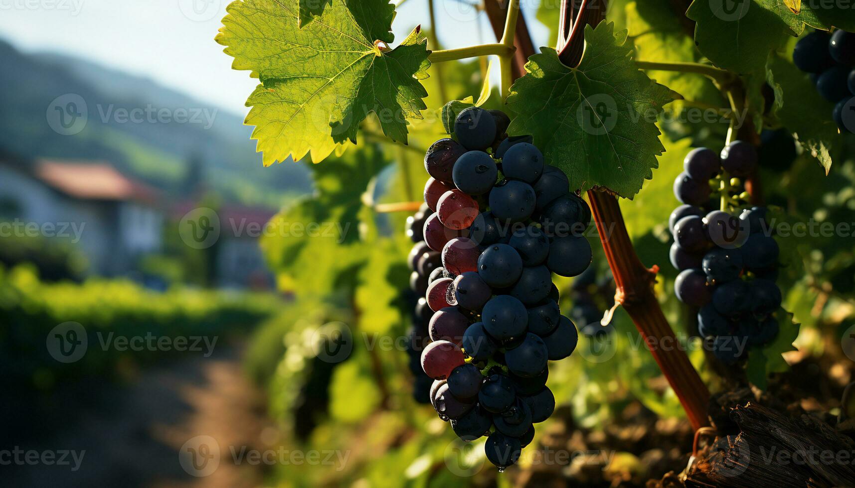 Artistic recreation of bunch of red grapes hanging in a vine. Illustration AI photo