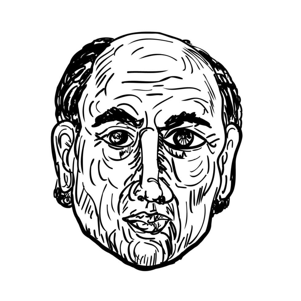 Caucasian Bald Man Head Front View Drawing vector