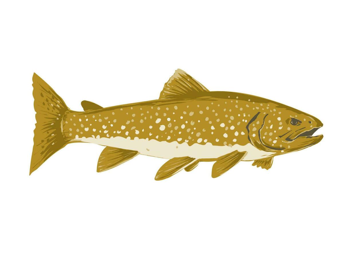 Lake Trout Salvelinus Namaycush or Mackinaw Side View WPA Art vector