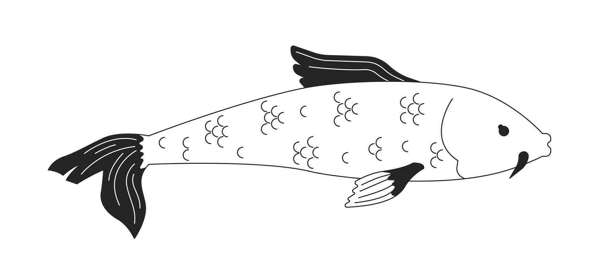 linda pez de colores con bigotes negro y blanco 2d línea dibujos animados personaje. oriental pescado para japonés estanque aislado vector contorno animal. nishikigoi flotante monocromo plano Mancha ilustración