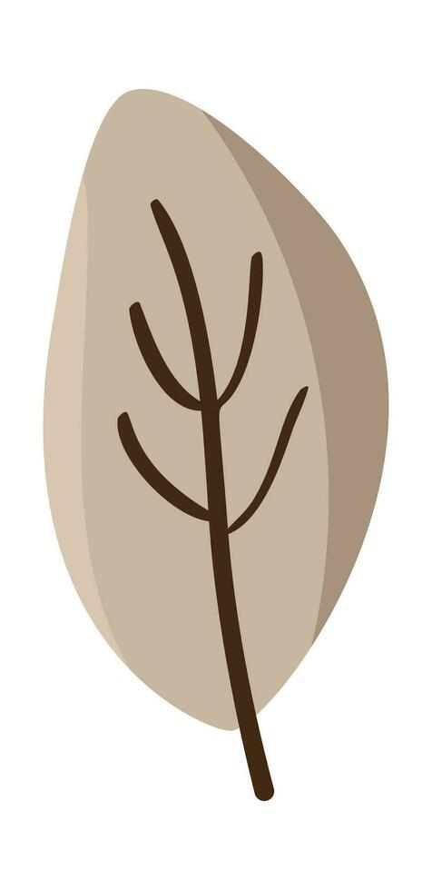 Colorful autumn leaf, isolated on white background. Simple cartoon flat style, vector. Hand drawn fall element for design greeting card. Thanksgiving Day vector