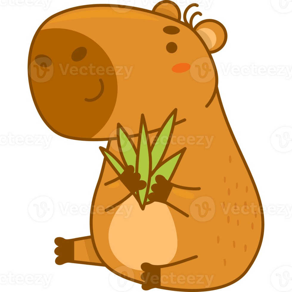 Cute funny capybara png