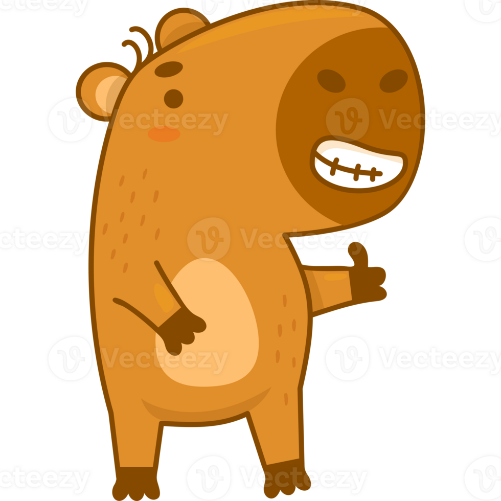 Cute  funny capybara png