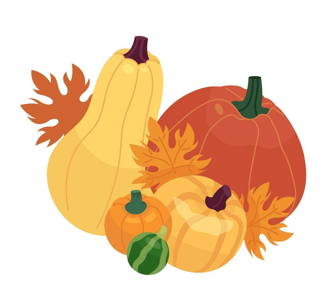 Maple leaves pumpkins 2D cartoon object. Thanksgiving decoration. Autumn gourds isolated vector item white background. November foliage vegetables. Harvest fall season color flat spot illustration