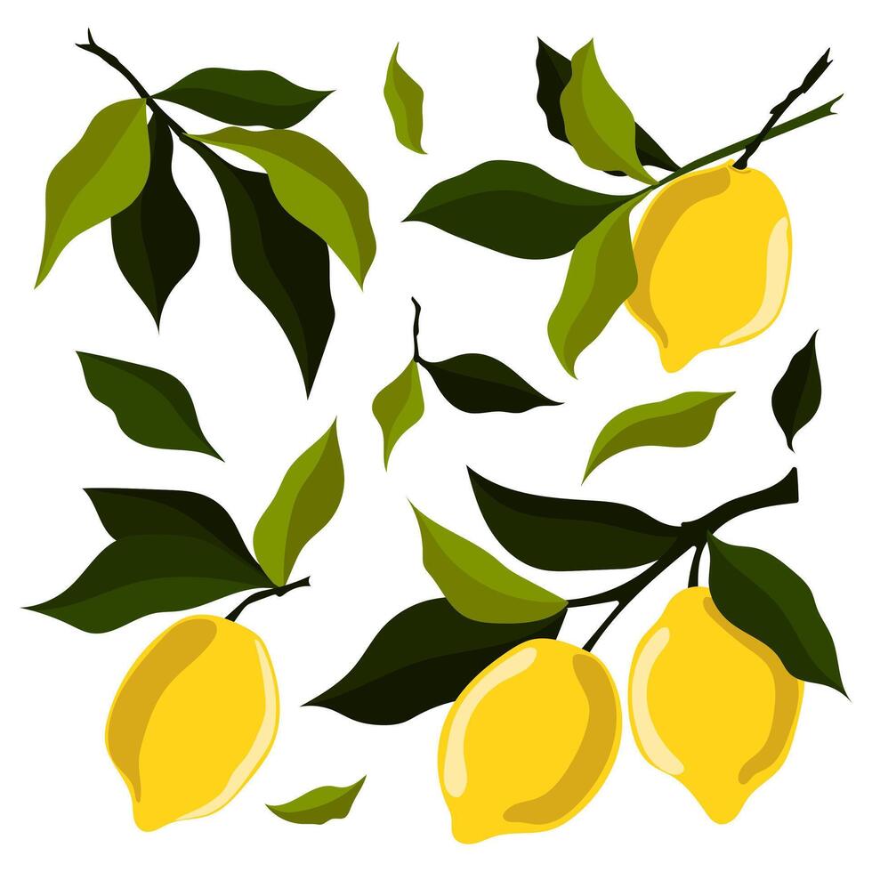 Set of vector illustrations with ripe yellow lemons and leaves
