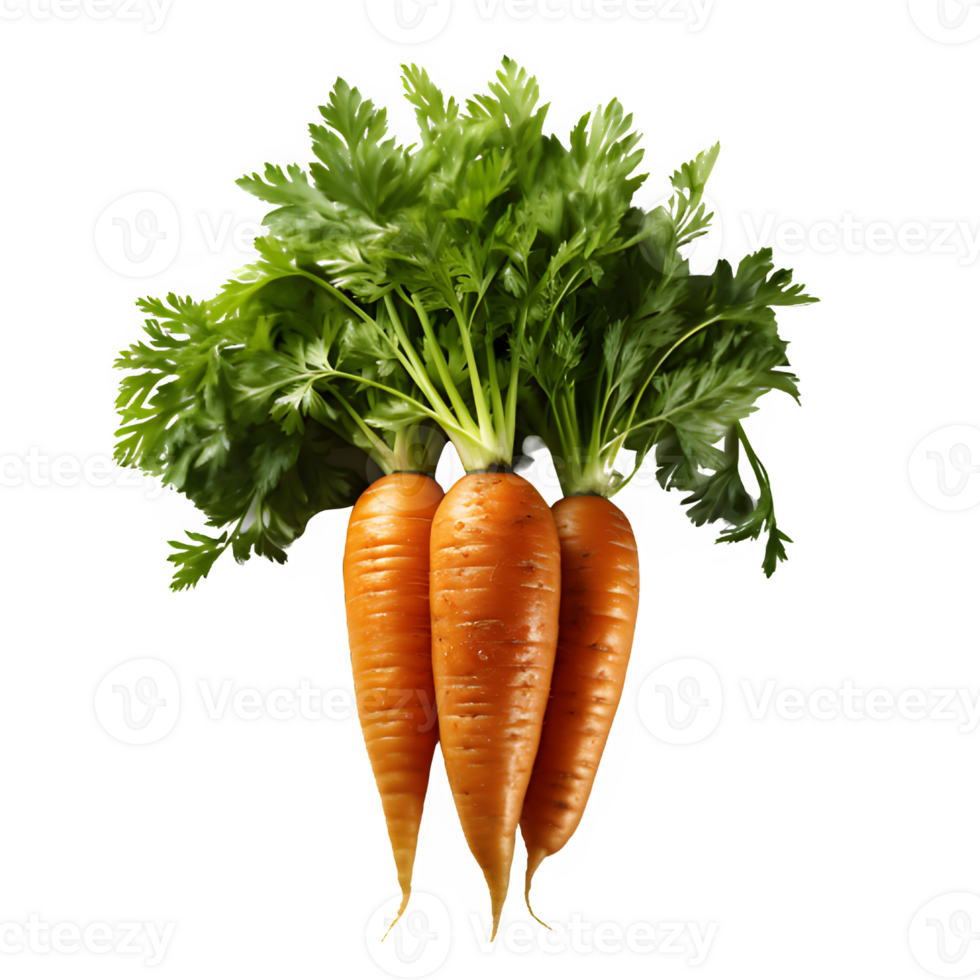 carrot vegetable isolated on transparent background ,carrot isolated cut out png ,generative ai