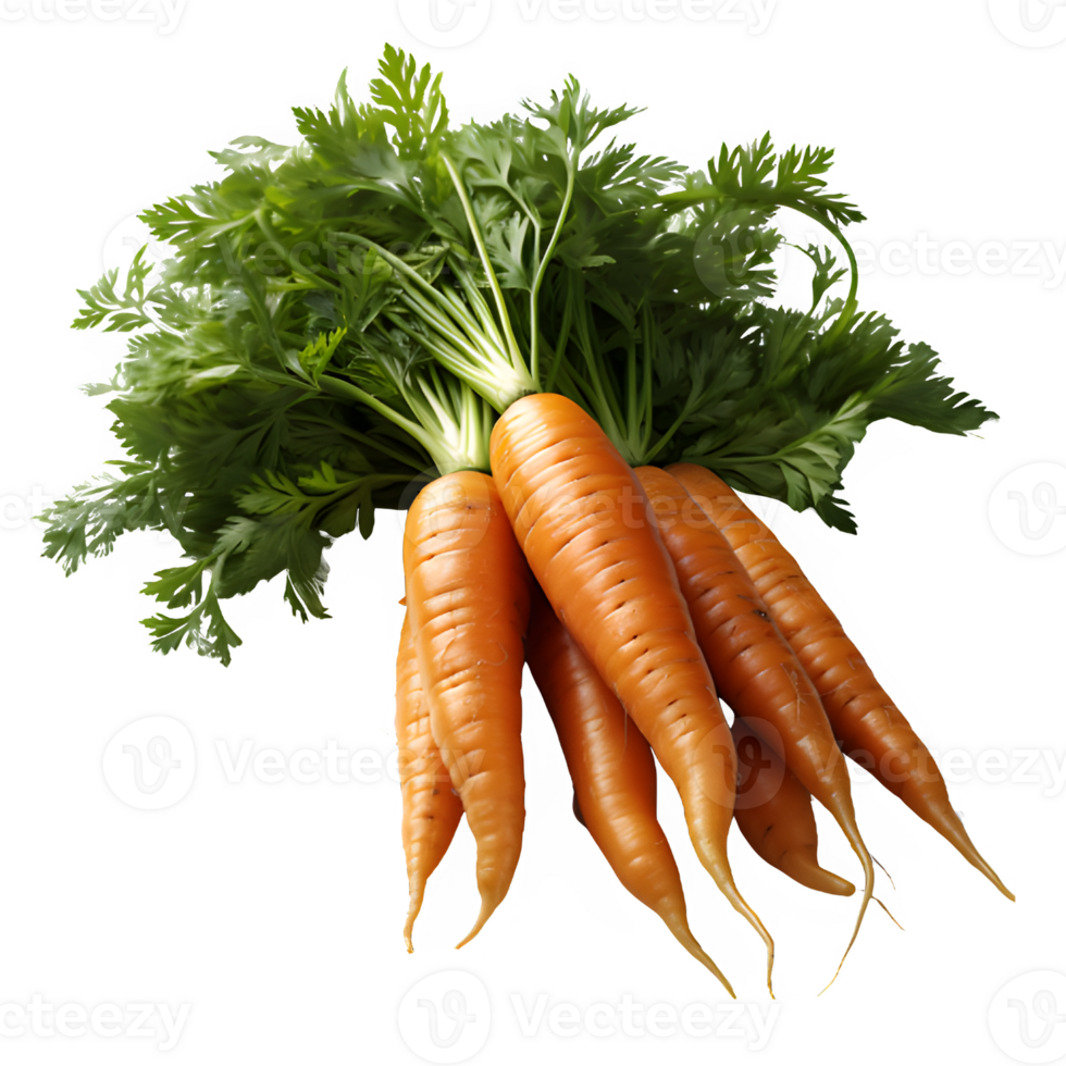 carrot vegetable isolated on transparent background ,carrot isolated cut out png ,generative ai