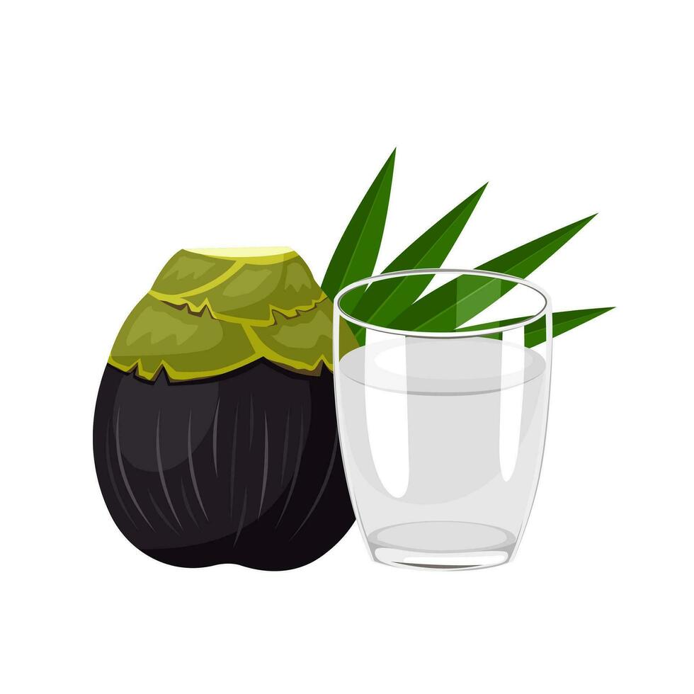 Vector illustration, a glass of palm wine, with Toddy palm fruit and leaves, isolated on white background.