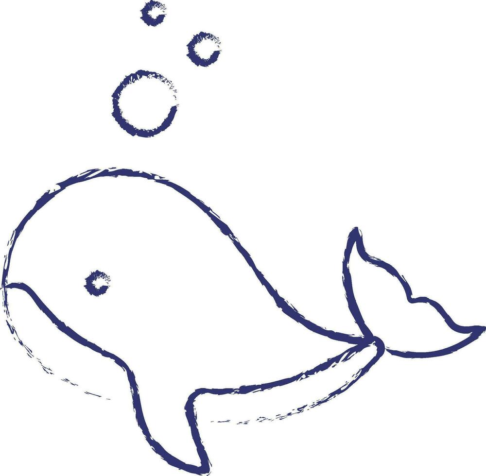 Whale hand drawn illustration vector