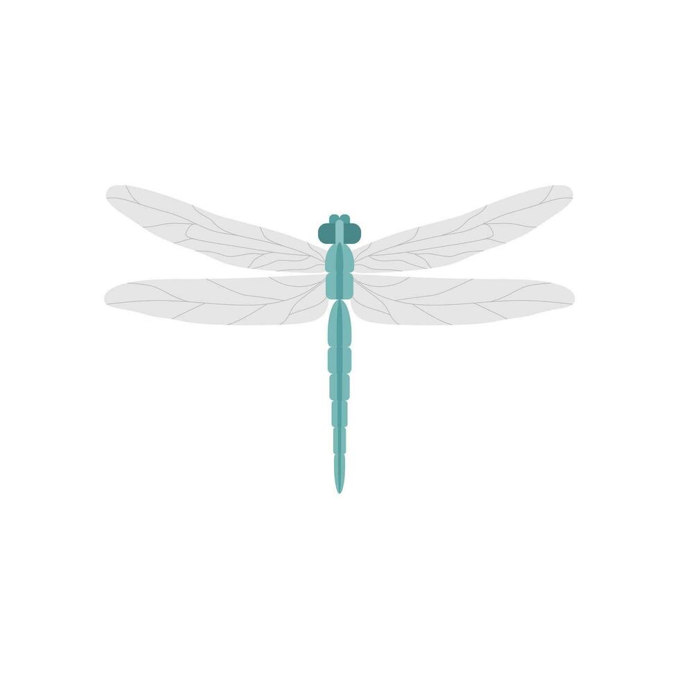 dragonfly flat design vector illustration
