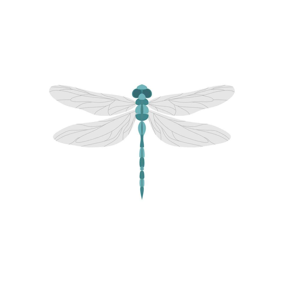 dragonfly flat design vector illustration