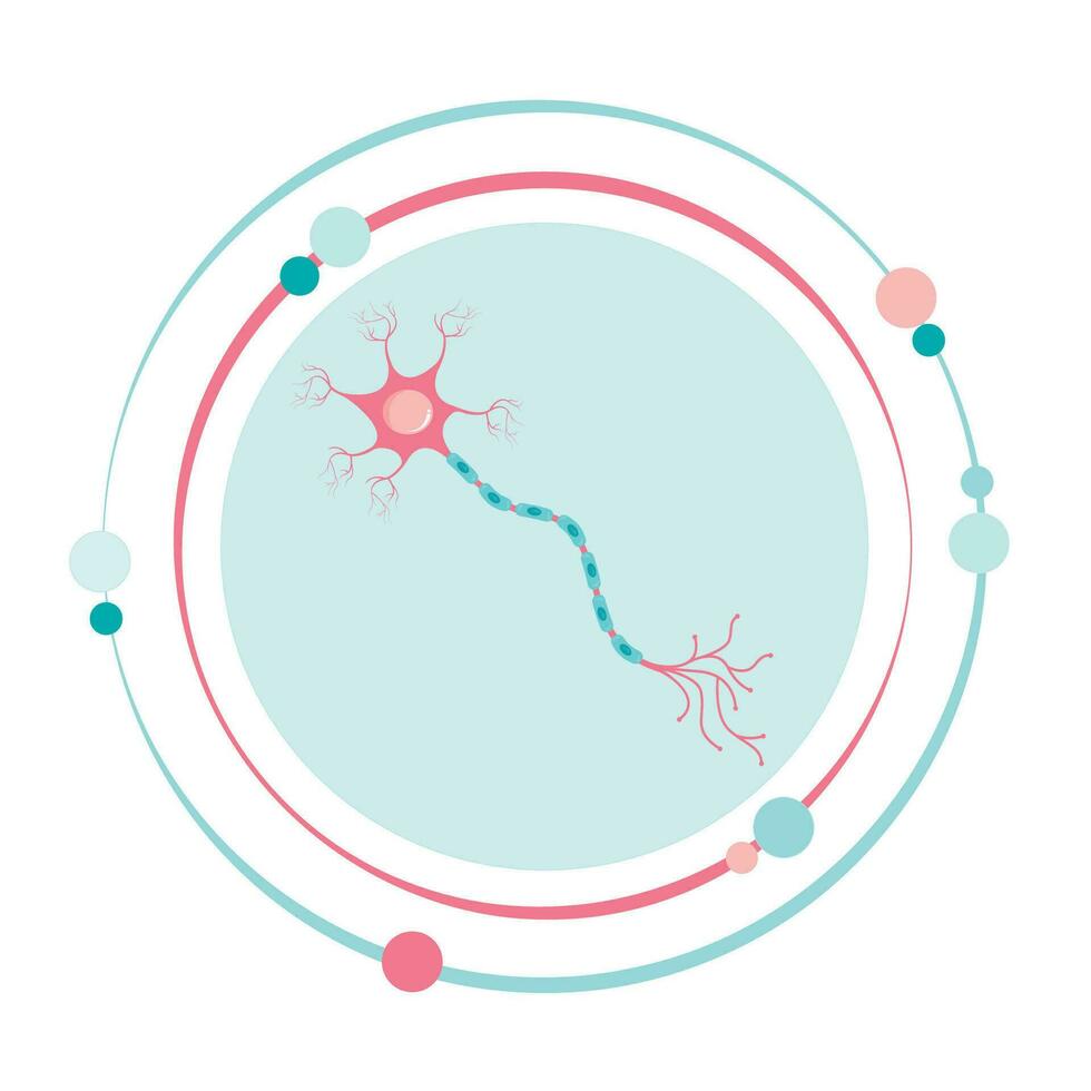 Neuron vector illustration graphic icon symbol