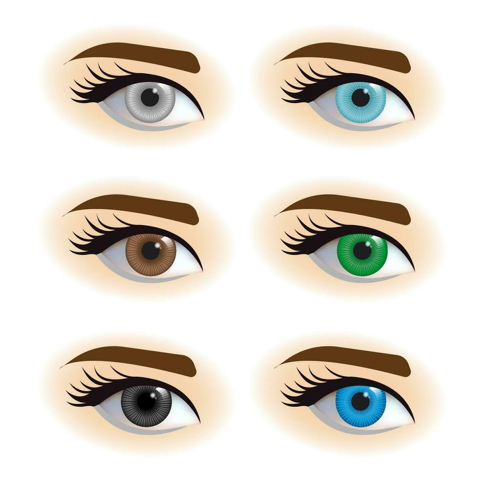 Eye Color Vector Art, Icons, and Graphics for Free Download