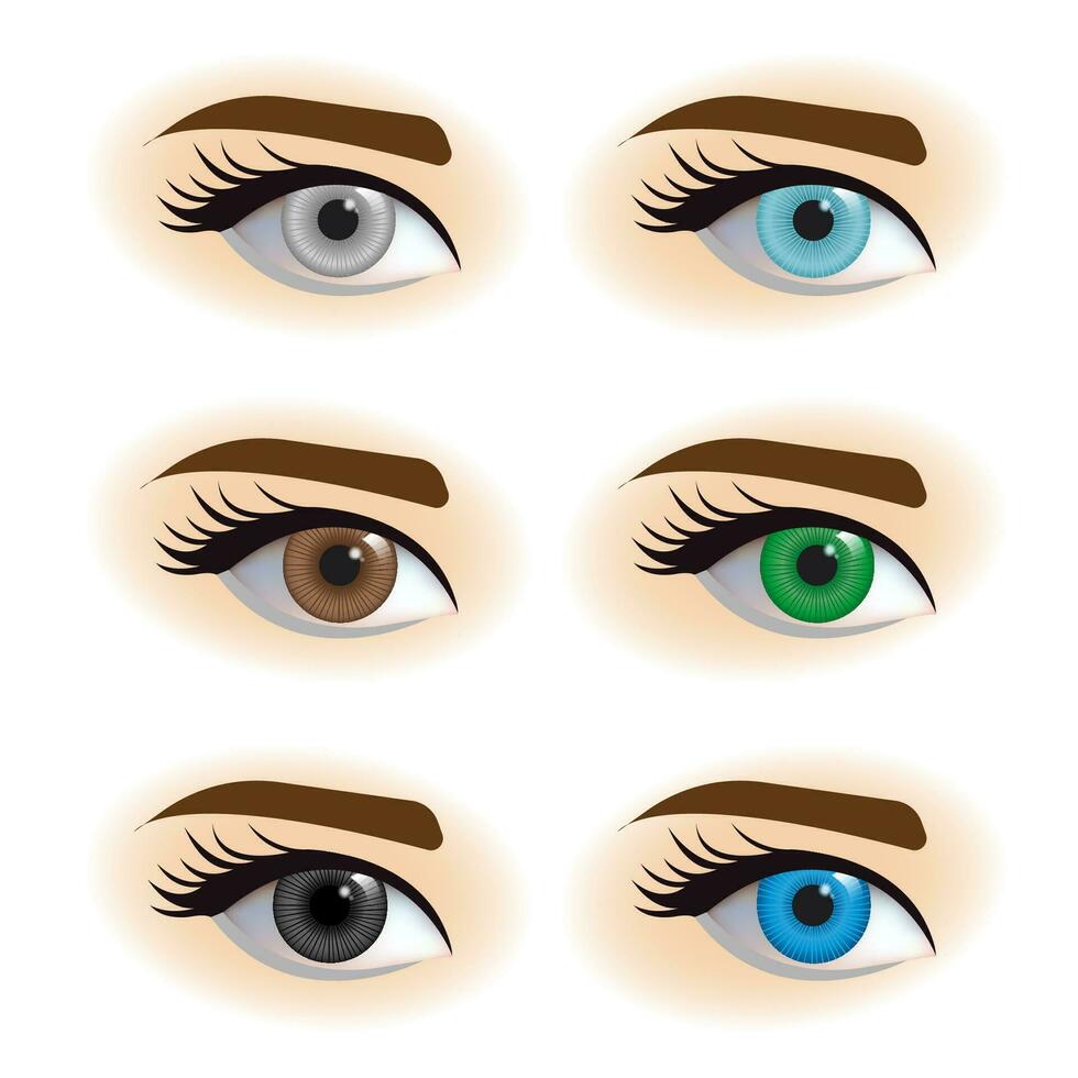 multicolor ojos con diferente alumnos vector