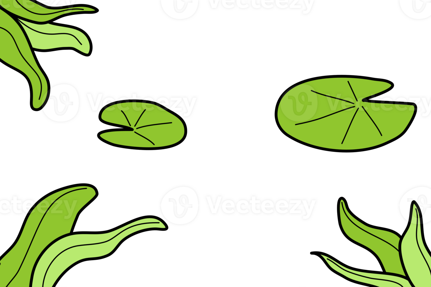 plants and lotus leaves on the water surface in the pond. Doodle illustration nature abstract transparent background color no people. png