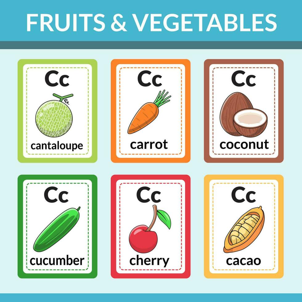 Fruits and vegetables that start with C flashcards for introducing alphabets and vocabulary vector illustration