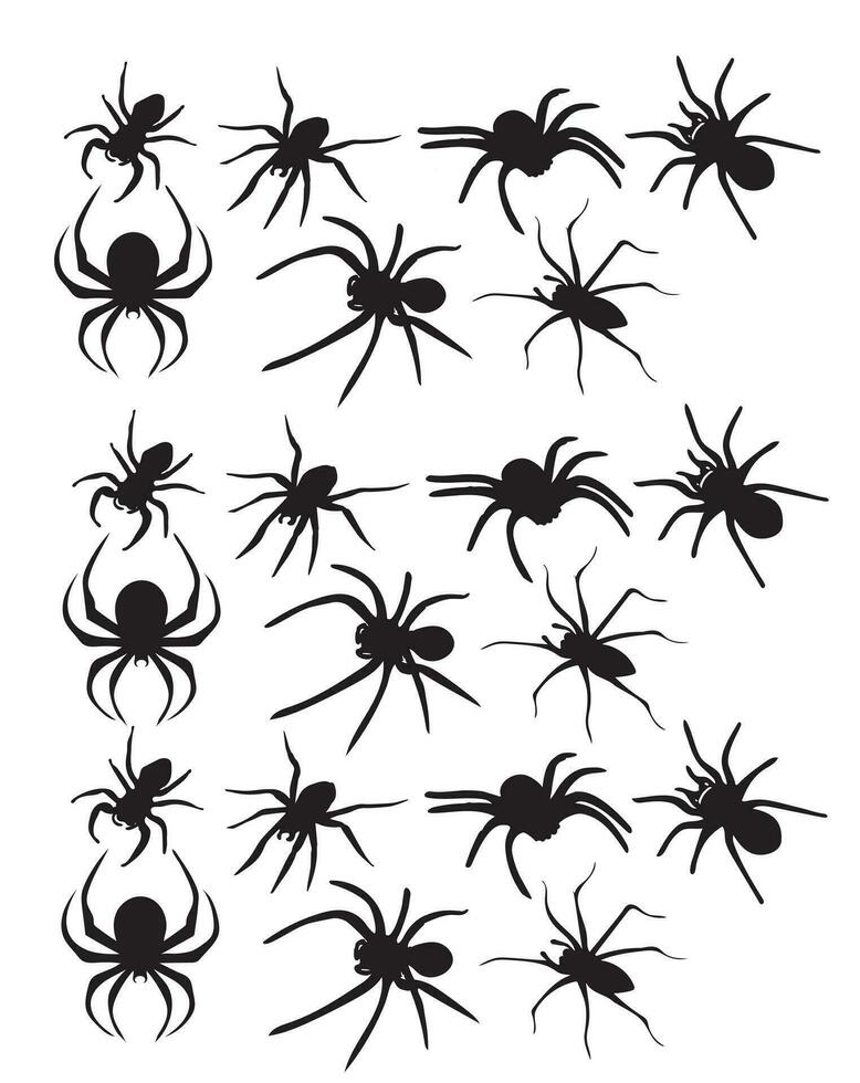 Spider vector  art design
