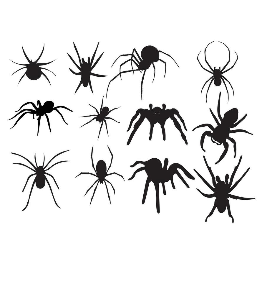 Download Spider vector free