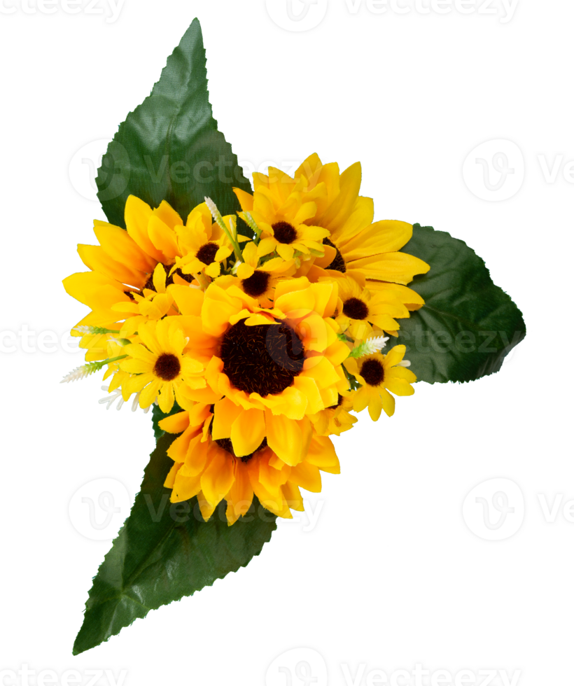 bouquet of yellow daisy flower isolated png