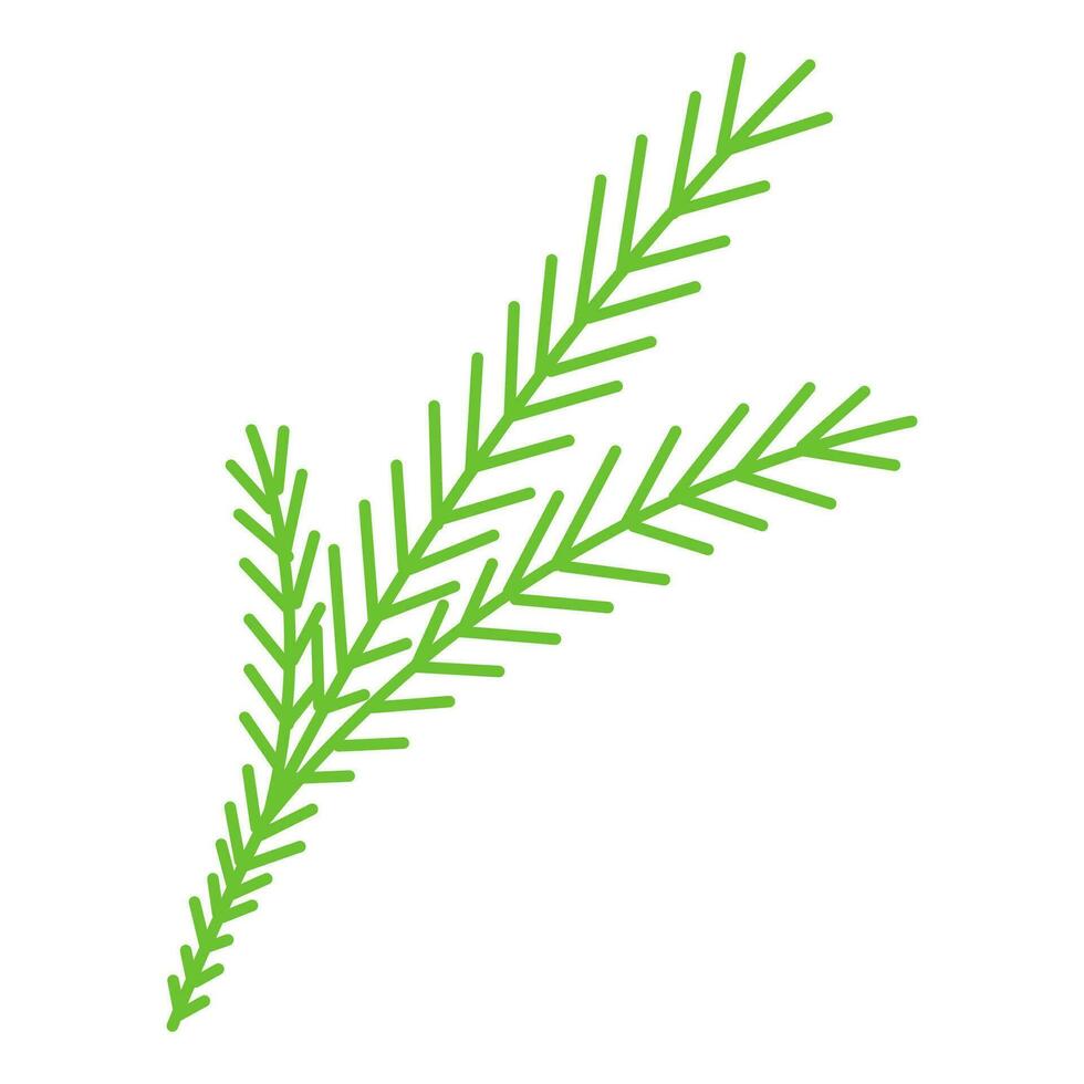 christmas holiday tree tree branch plant needles vector