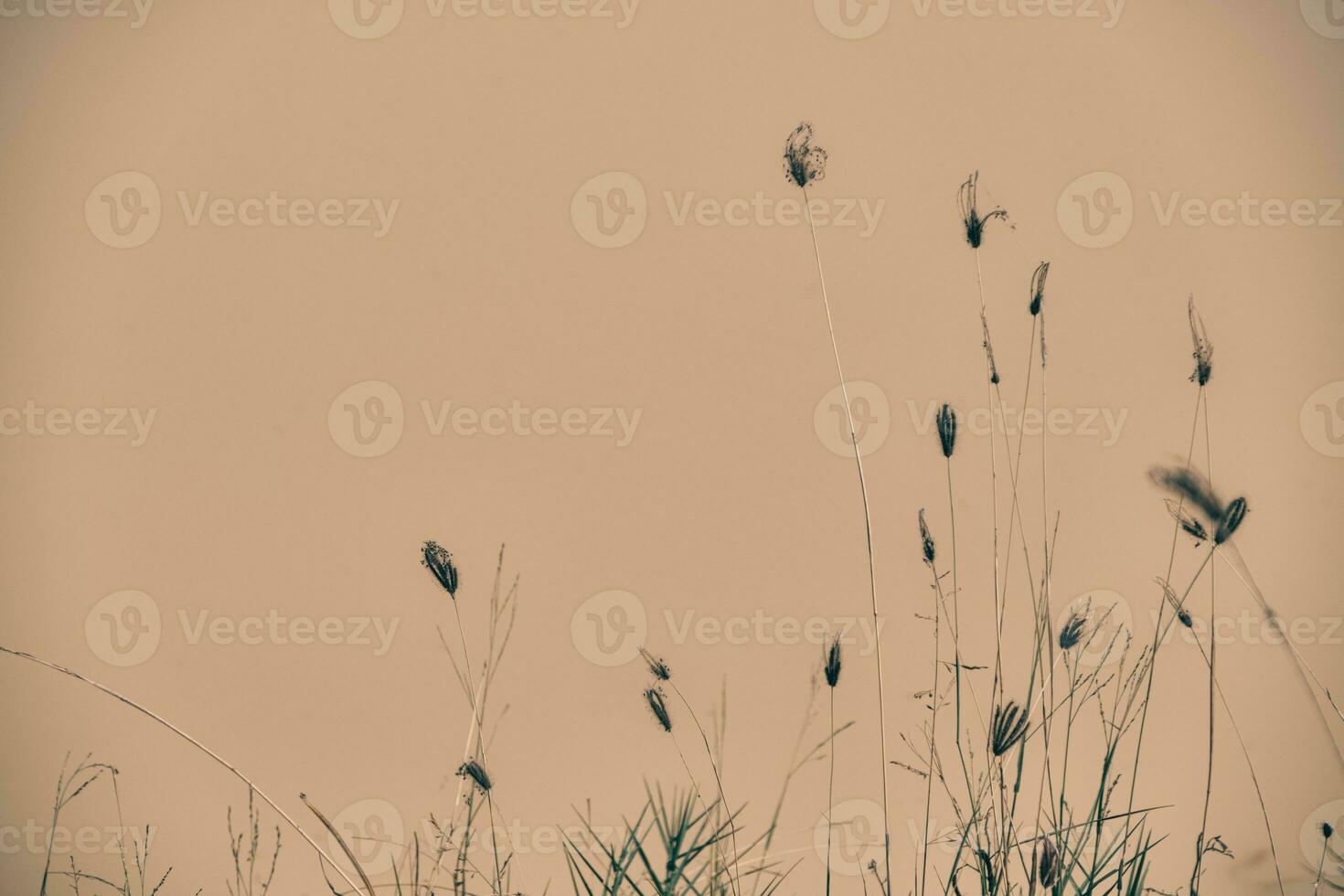 Page 2 | Minimalist Nature Stock Photos, Images and Backgrounds for