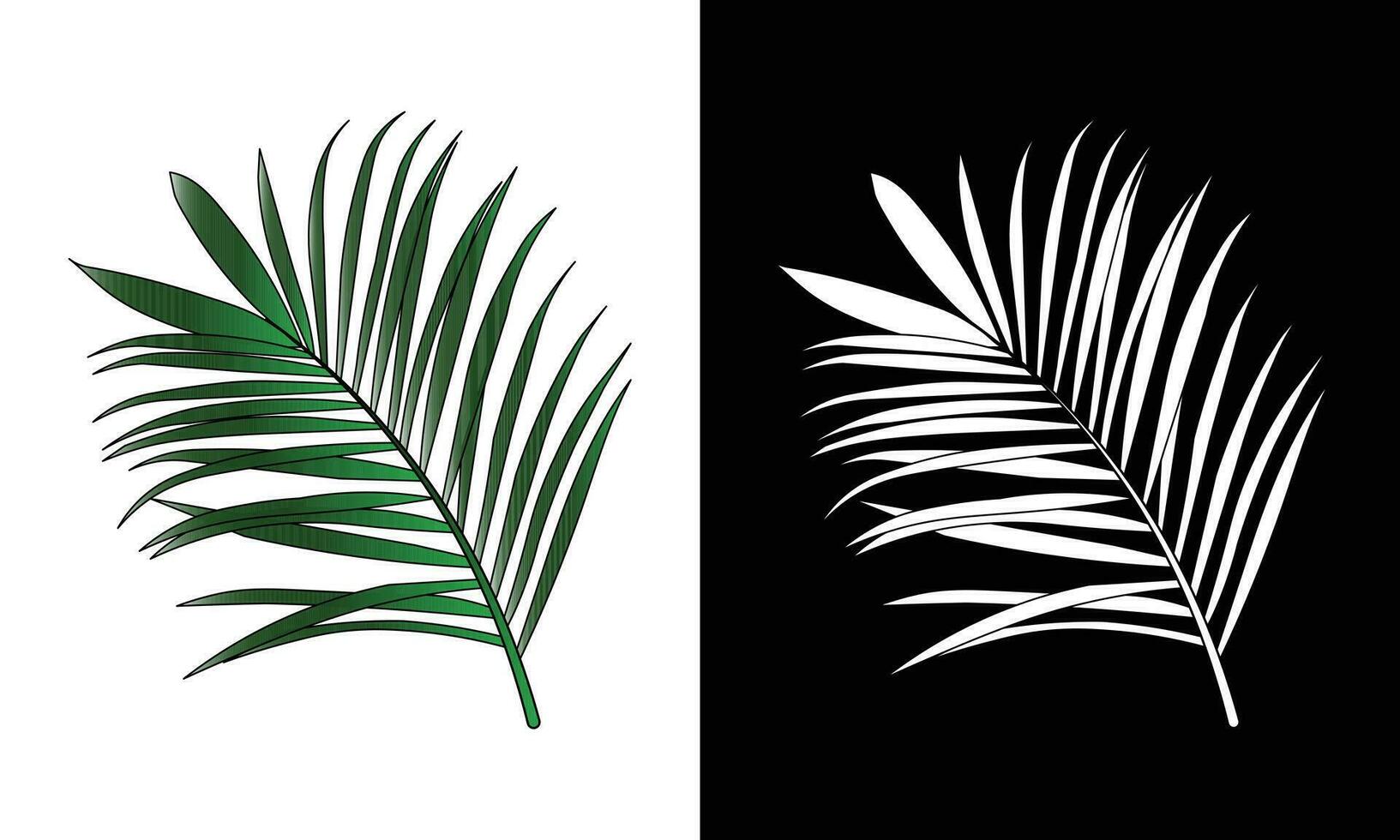 vector tropical leaves palm branch realistic frame composition.