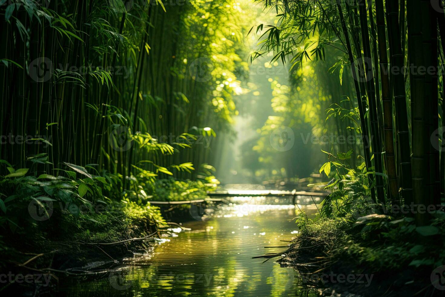 Landscape of stream or river in asian bamboo forest with morning sunlight photo