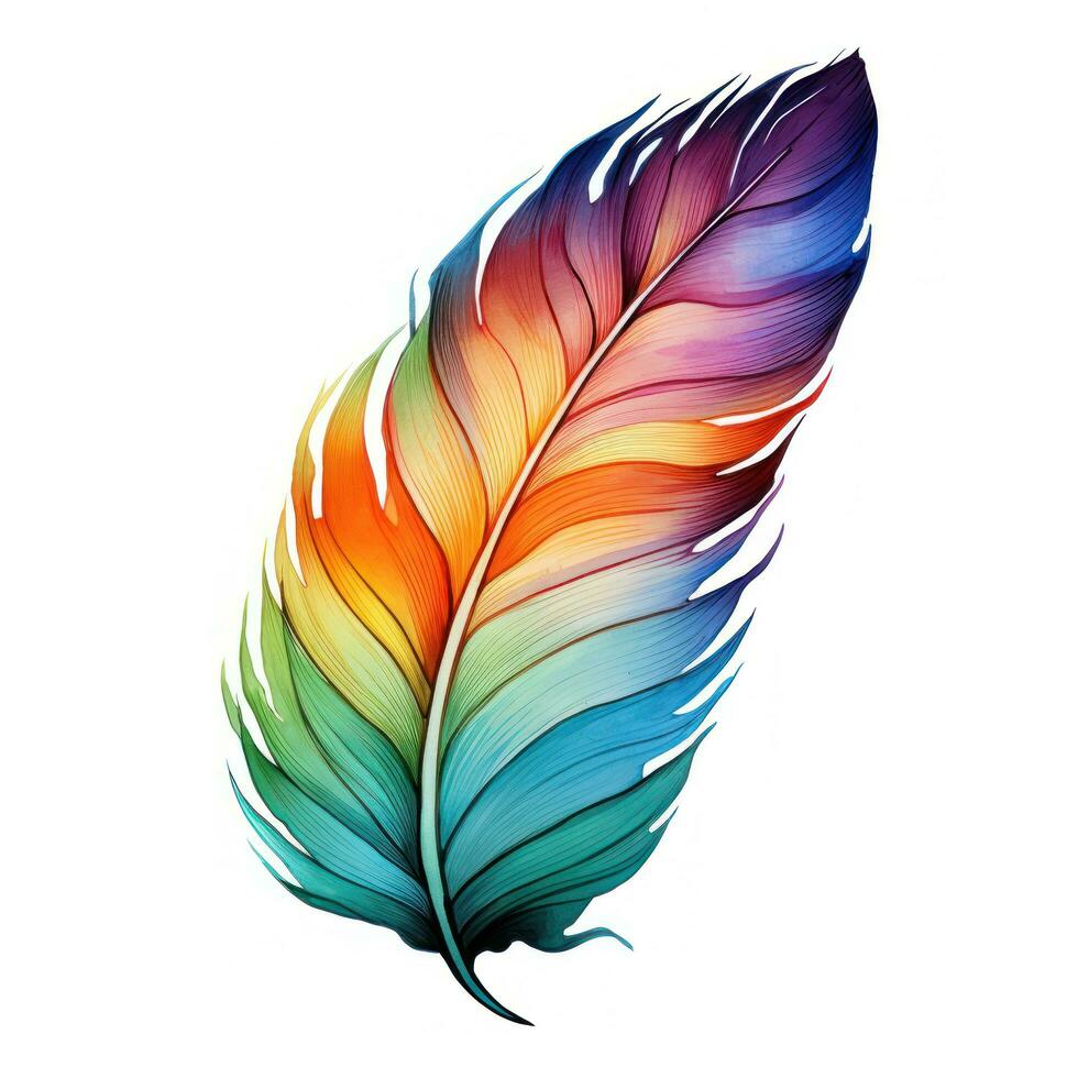 Colorful hand-painted feather isolated on white backgroud photo