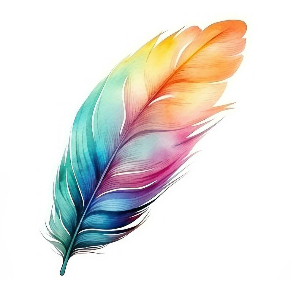 Colorful hand-painted feather isolated on white backgroud photo