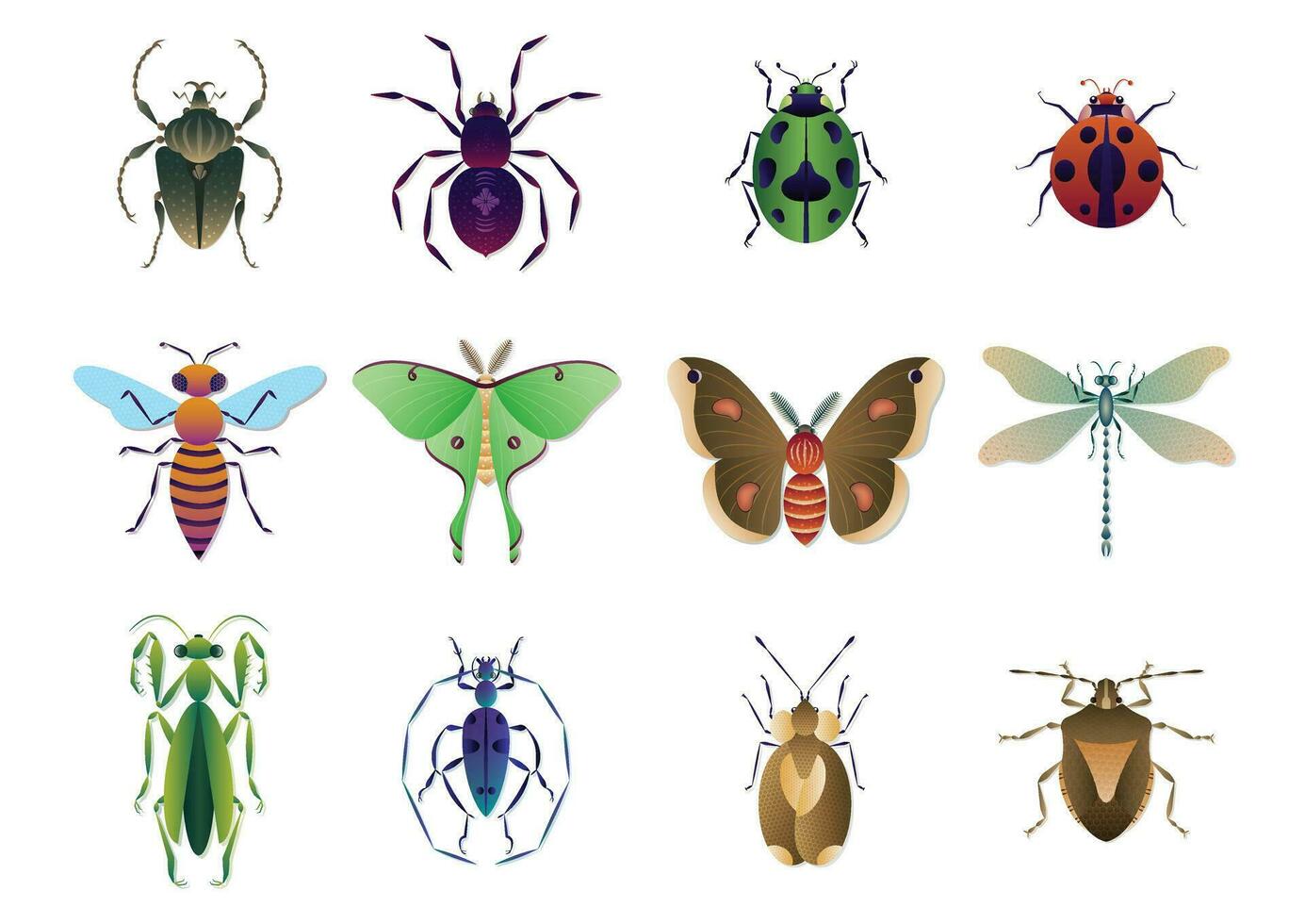 diferente tipos de insectos colección vector ilustración