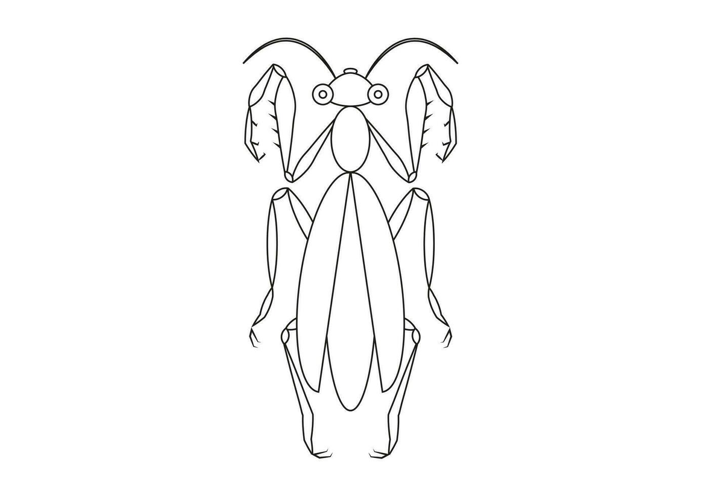 negro y blanco Orando mantis clipart. colorante página de un saltamontes vector