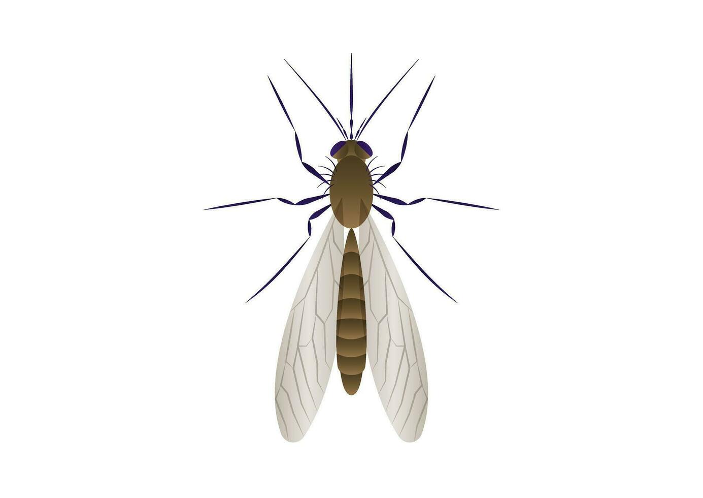 mosquito vector Arte aislado en blanco antecedentes