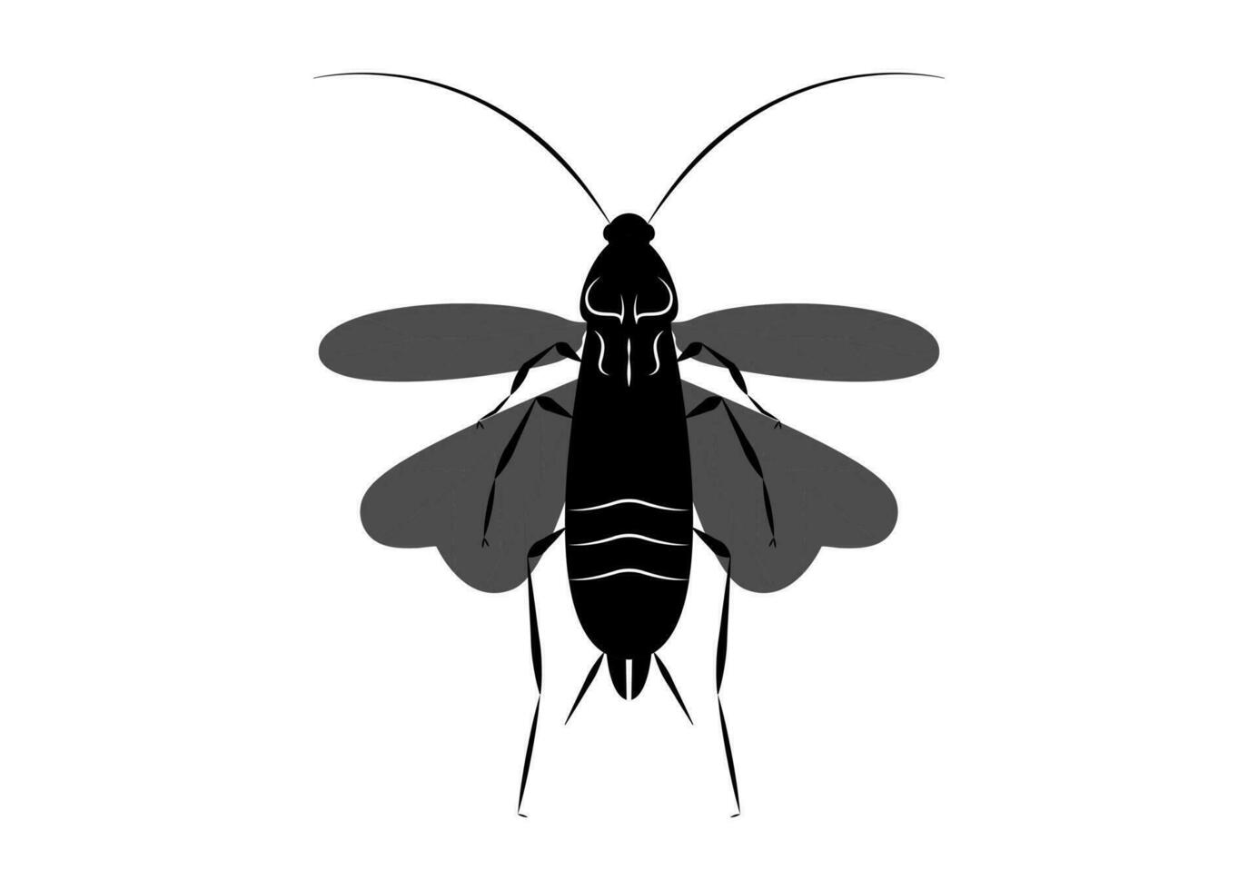Black and White Flying Cockroach Clipart Vector isolated on White Background