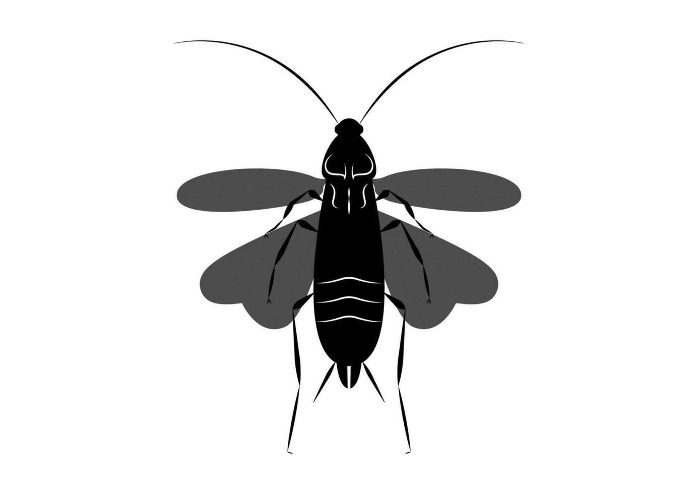 Black and White Flying Cockroach Clipart Vector isolated on White Background
