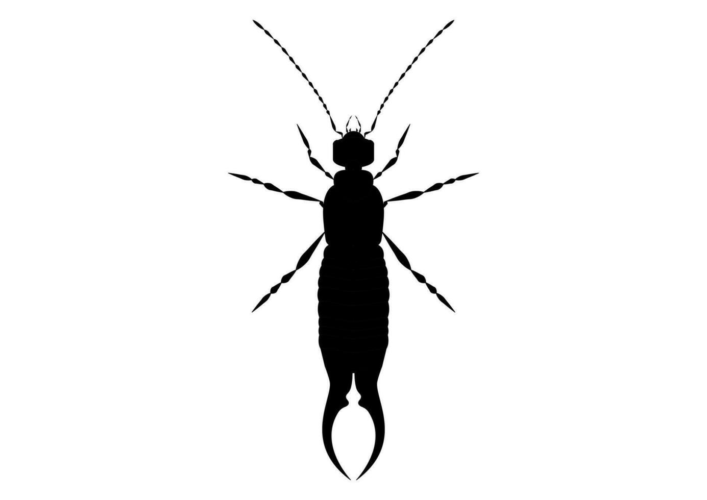 Black and White Earwig Clipart Vector isolated on White Background