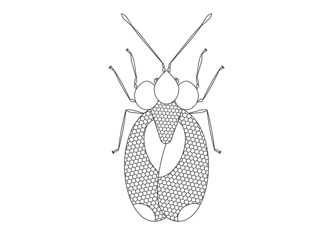 Black and White Bug Stephanitis Pyri isolated on White Background. Coloring Page of a Bug Stephanitis Pyri vector