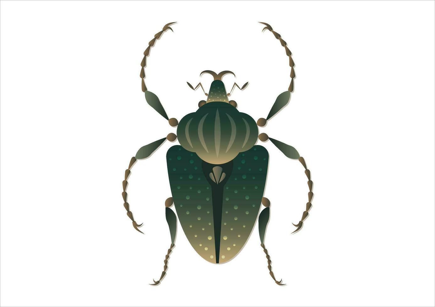 Goliathus Regius Beetle Vector Art isolated on White Background