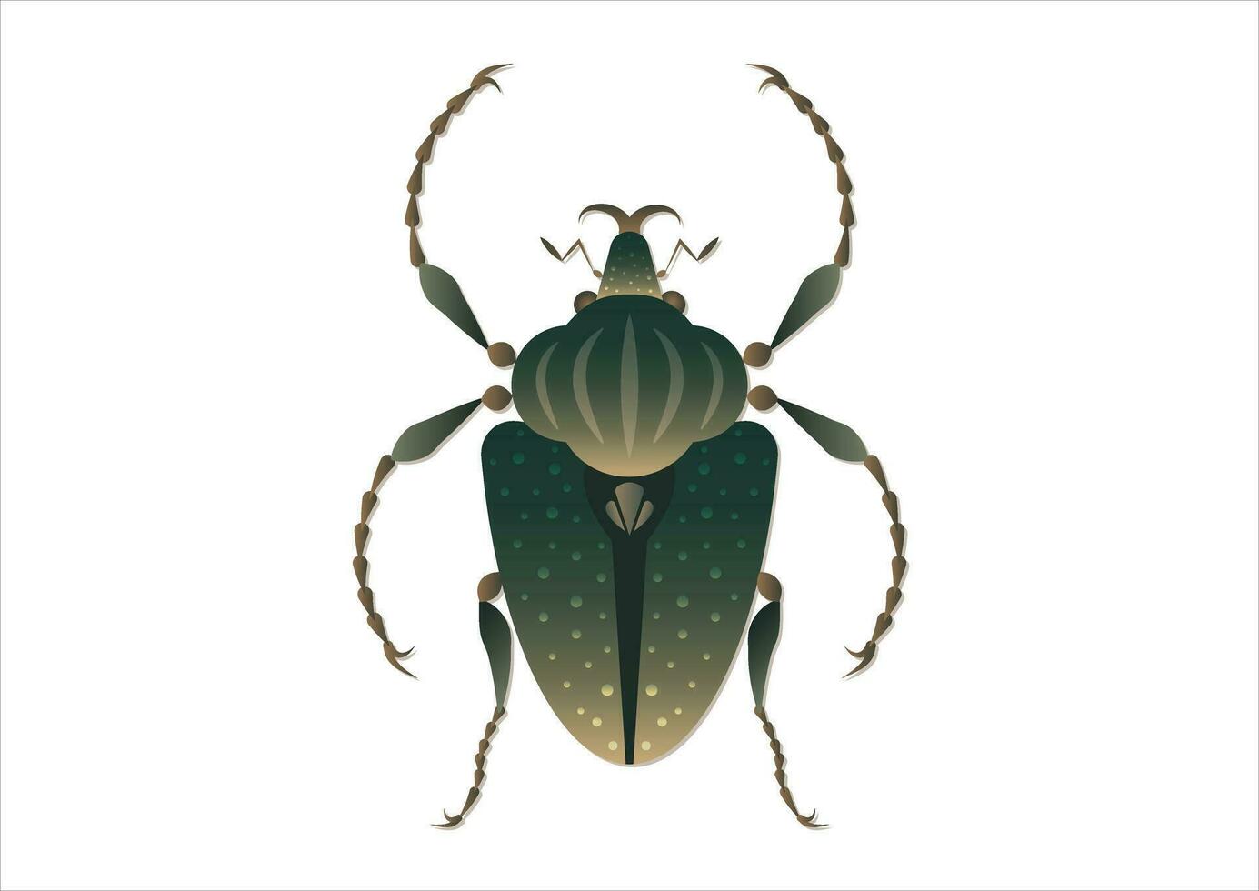 goliato regius escarabajo vector Arte aislado en blanco antecedentes