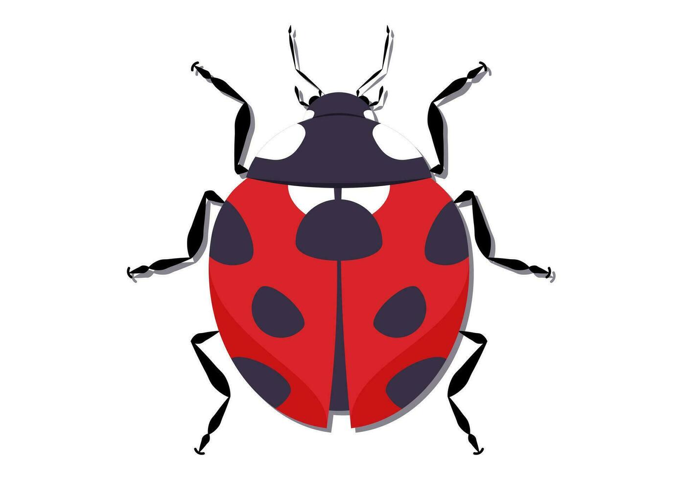 Cartoon Character of a Ladybug Vector Flat Design