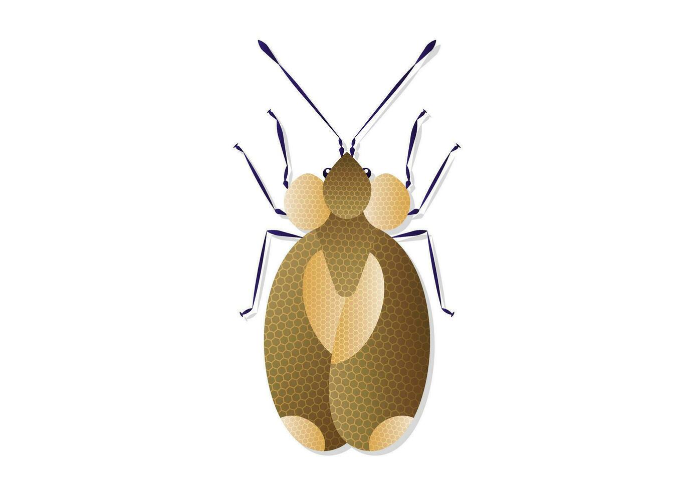 Bug Stephanitis Pyri Vector Art isolated on White Background