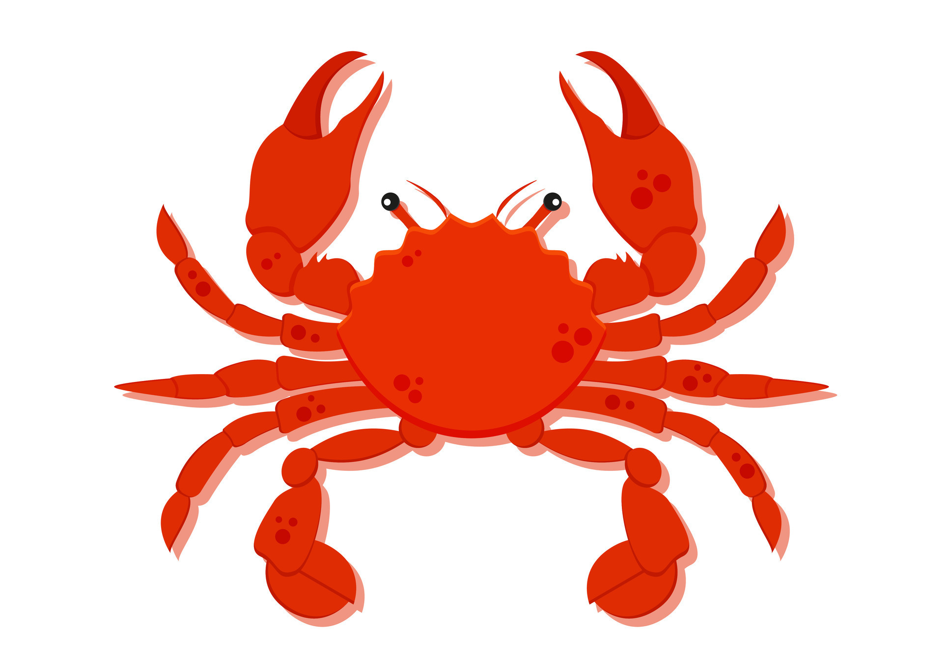 Crab cartoon character with big claws vector illustration 29785692