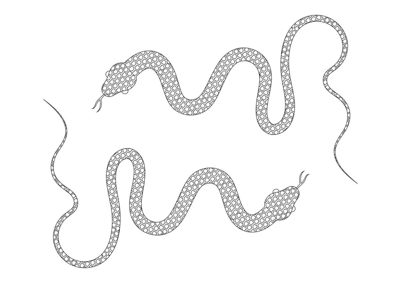 Black and White Snake Vector Illustration. Coloring Page of Two Snakes