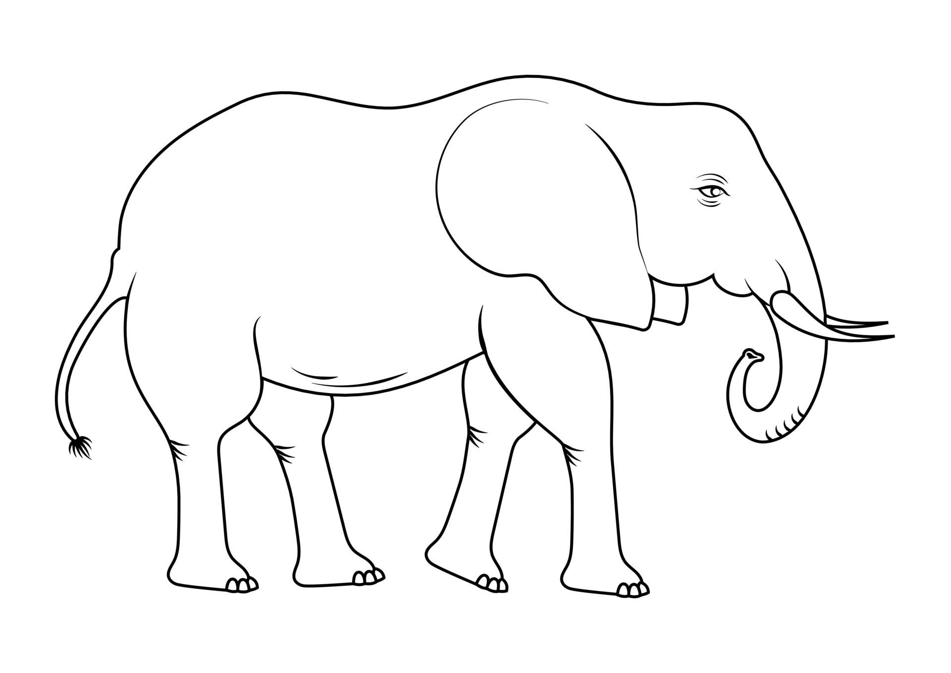 Coloring Page of a Elephant Cartoon Character Vector 29785711 Vector ...